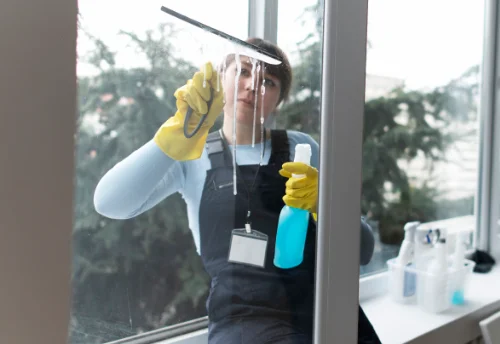 Nettoyage de vitres intérieures et extérieures à Valorbiquet